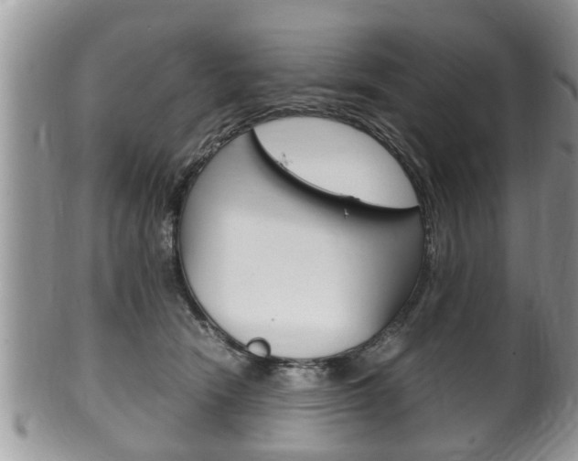 X0000100480466200806130736