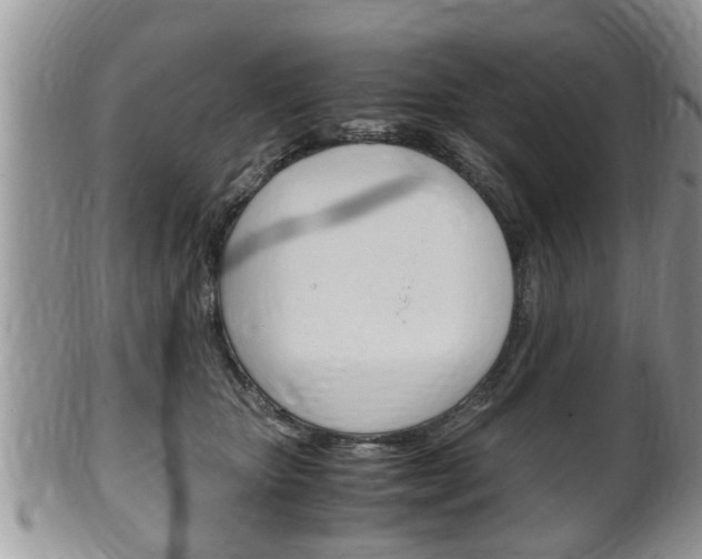 X0000100480467200806130736