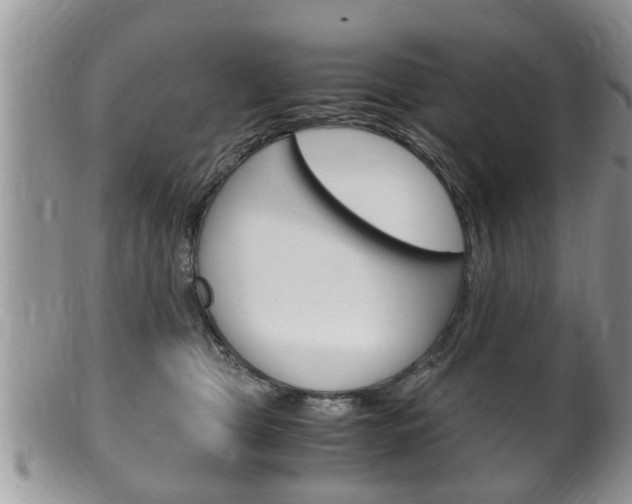 X0000100480469200806130736