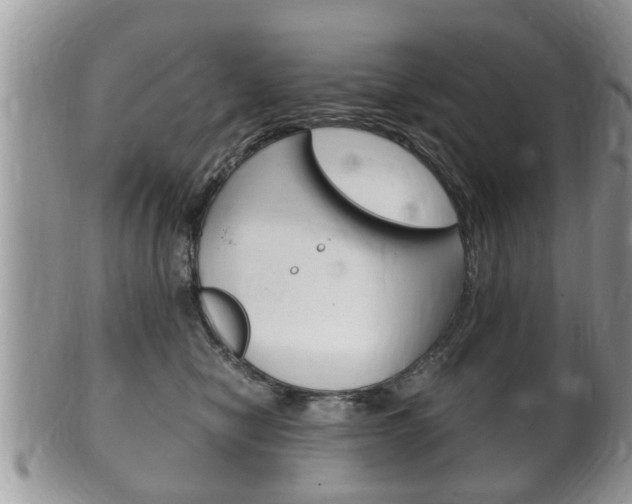 X0000100480470200806130736