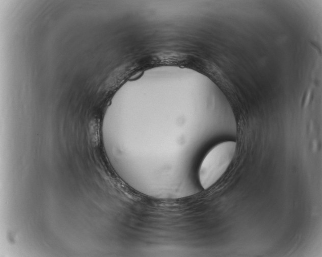 X0000100480471200806130736