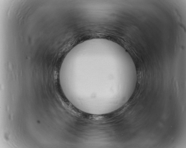 X0000100480472200806130736