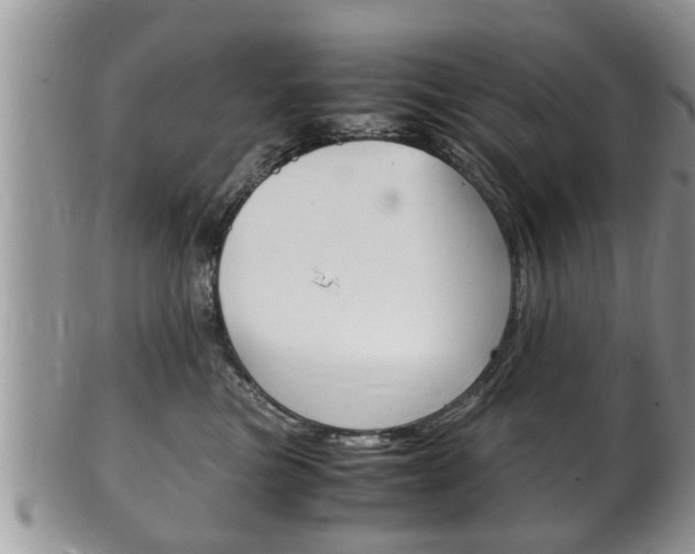 X0000100480473200806130736