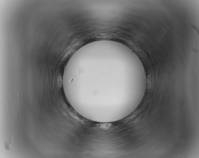 X0000100480474200806130736