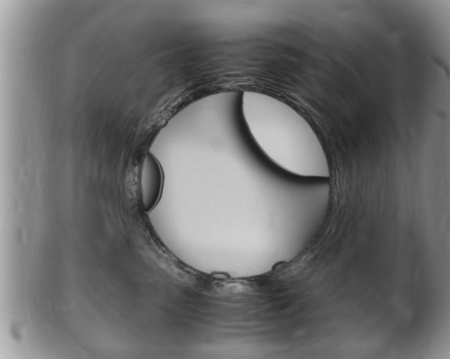 X0000100480475200806130736