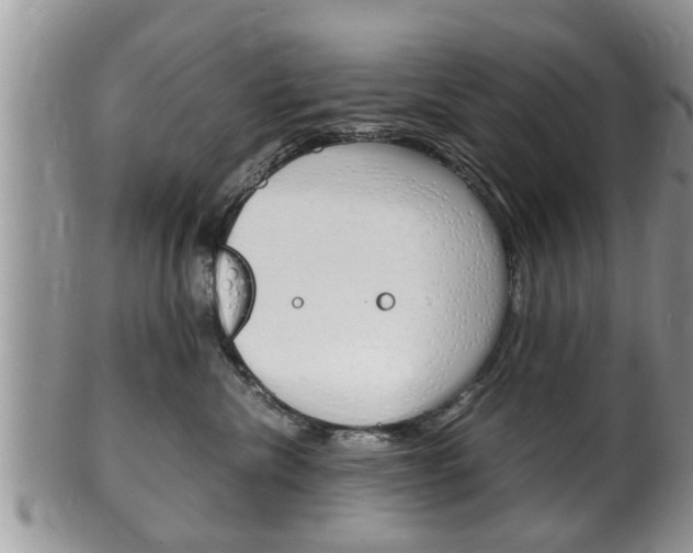 X0000100480476200806130736