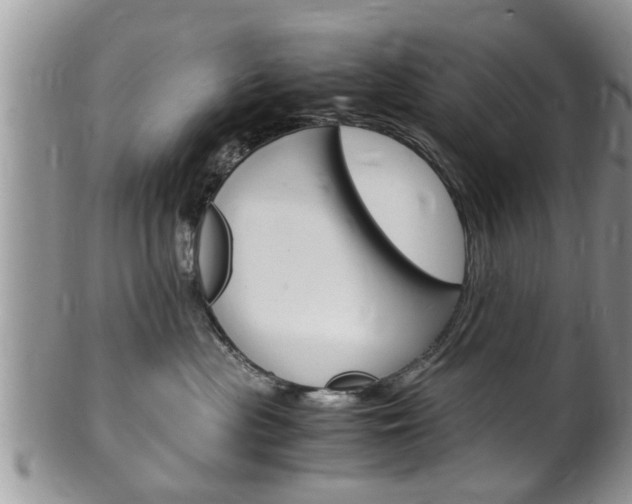 X0000100480477200806130736