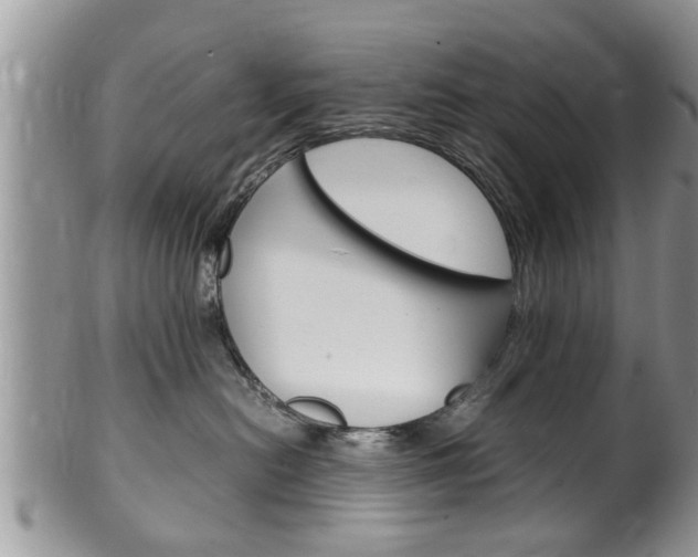 X0000100480478200806130736