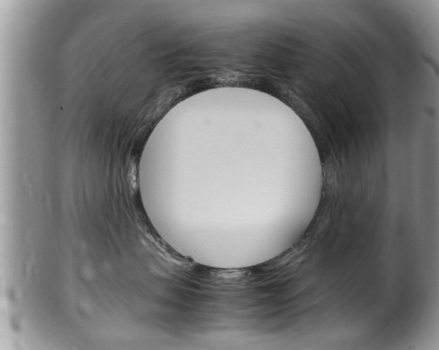 X0000100480479200806130736