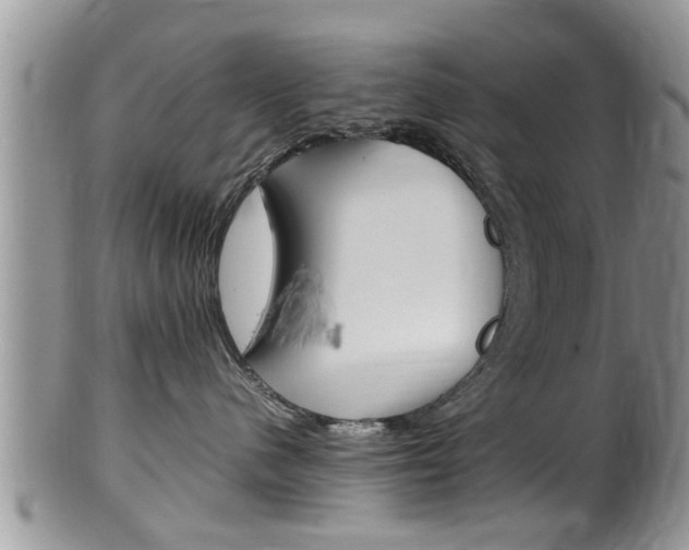 X0000100480480200806130736