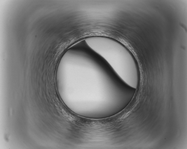 X0000100480481200806130736