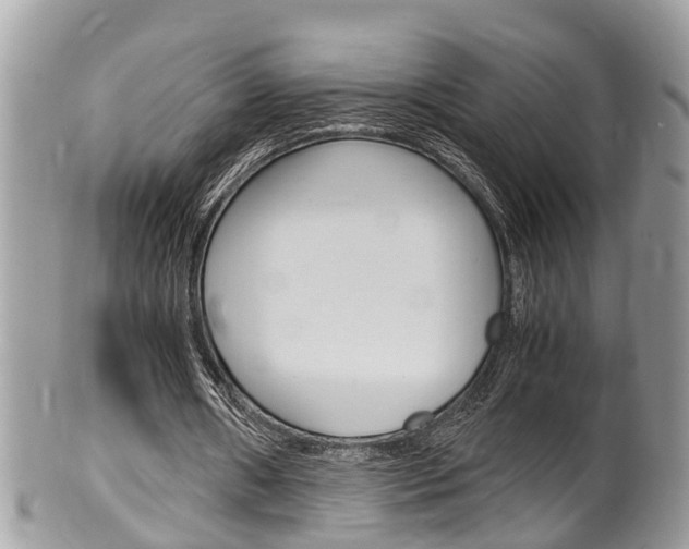 X0000100480482200806130736