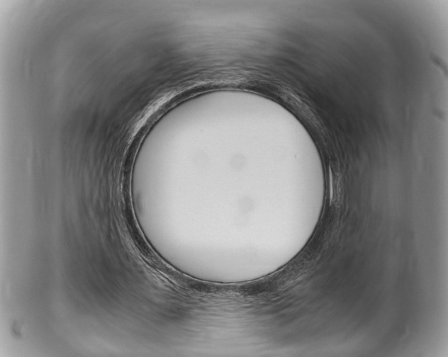 X0000100480483200806130736