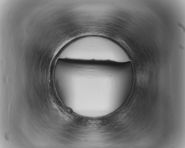 X0000100480484200806130736