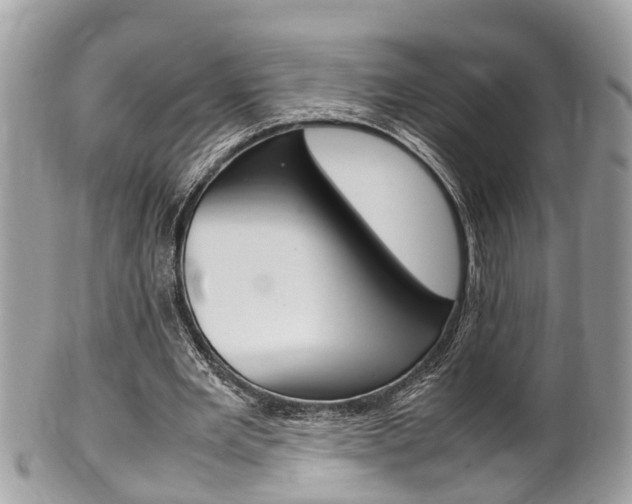 X0000100480485200806130736