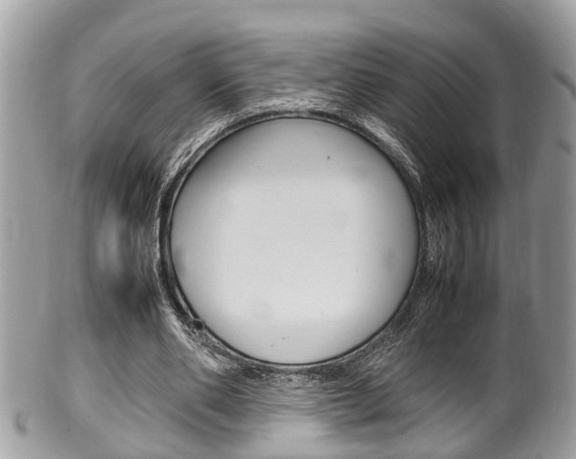 X0000100480486200806130736