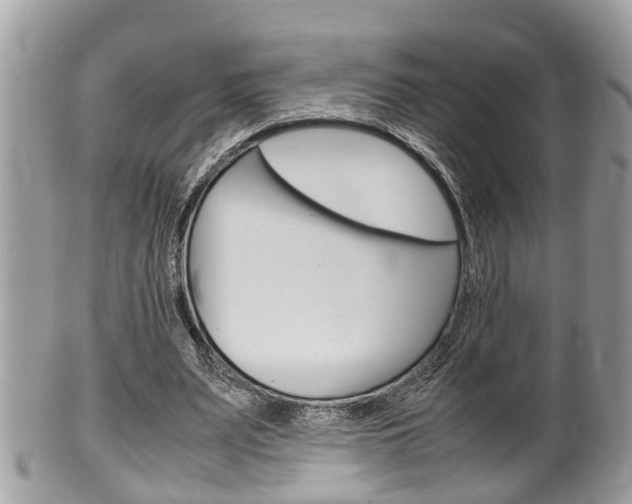 X0000100480487200806130736
