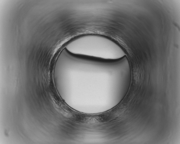 X0000100480488200806130736