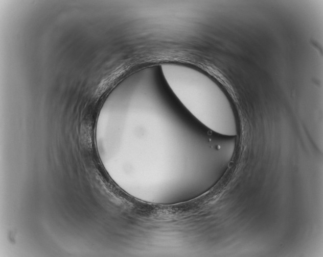 X0000100480489200806130736