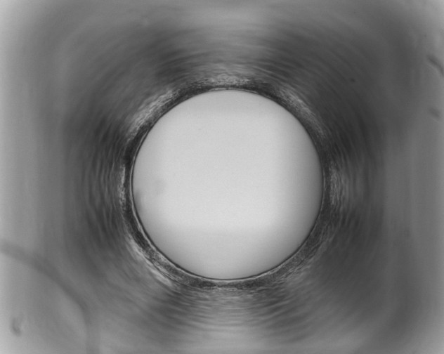 X0000100480490200806130736