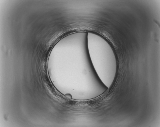 X0000100480491200806130736