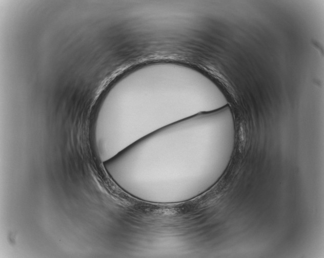 X0000100480492200806130736