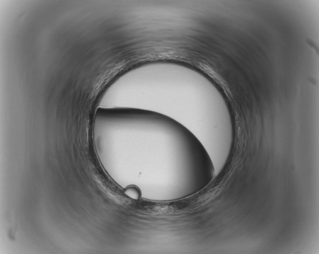 X0000100480493200806130736