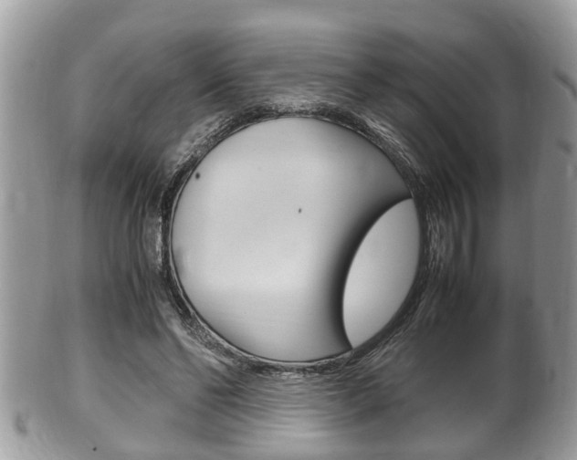 X0000100480494200806130736