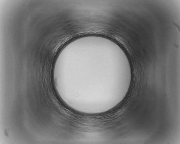 X0000100480495200806130736