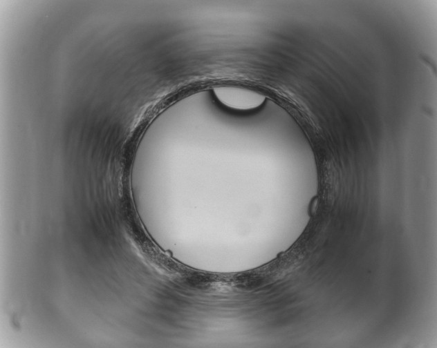 X0000100480496200806130736