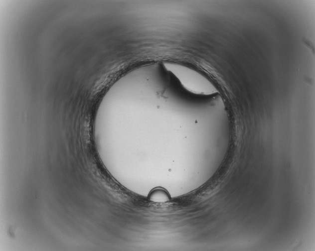 X0000100480497200806130735