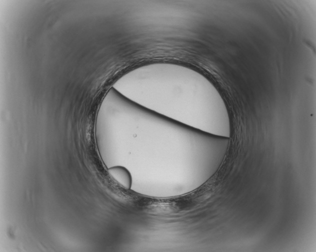 X0000100480499200806130735