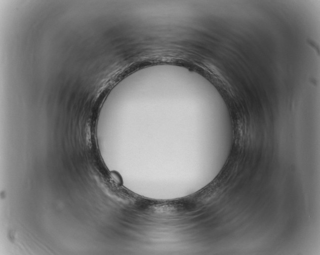 X0000100480500200806130735