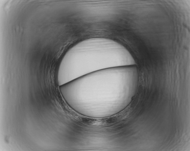 X0000100480504200806130735