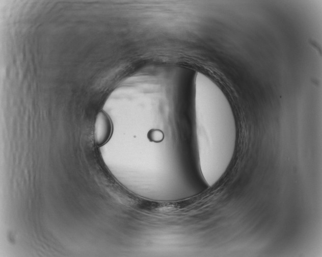 X0000100480505200806130735
