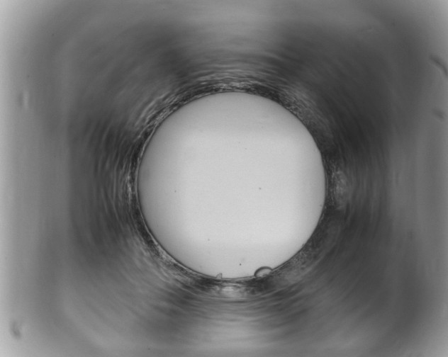 X0000100480506200806130735