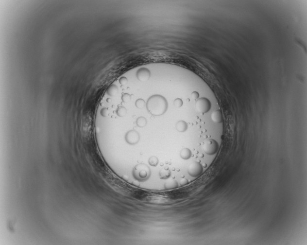 X0000100480507200806130735