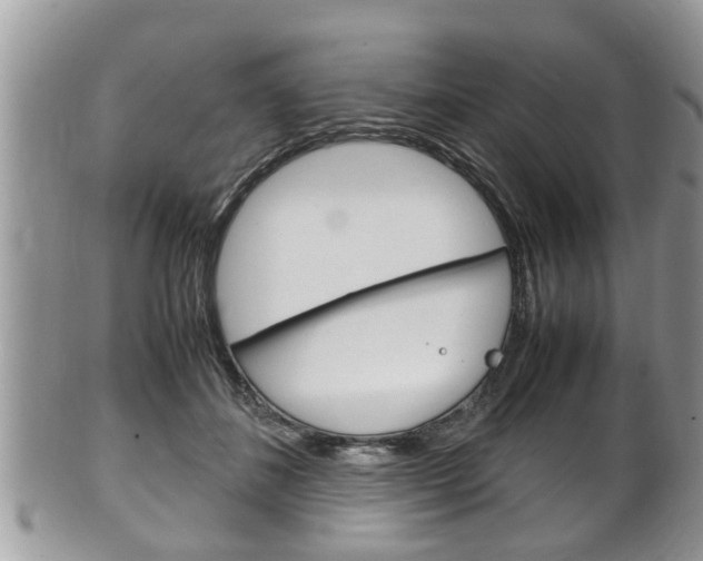 X0000100480508200806130735