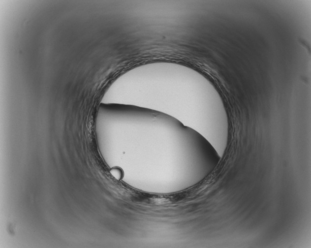 X0000100480509200806130735
