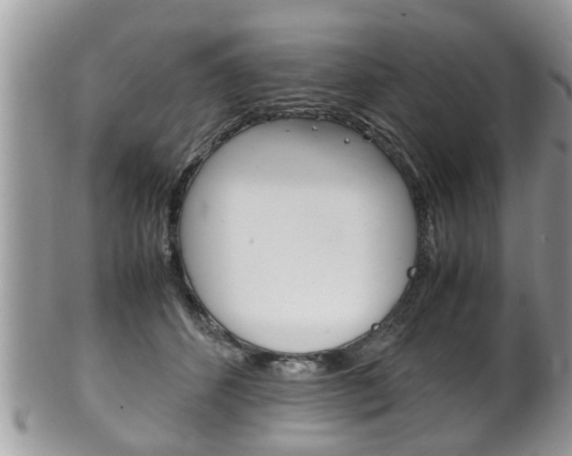 X0000100480512200806130735