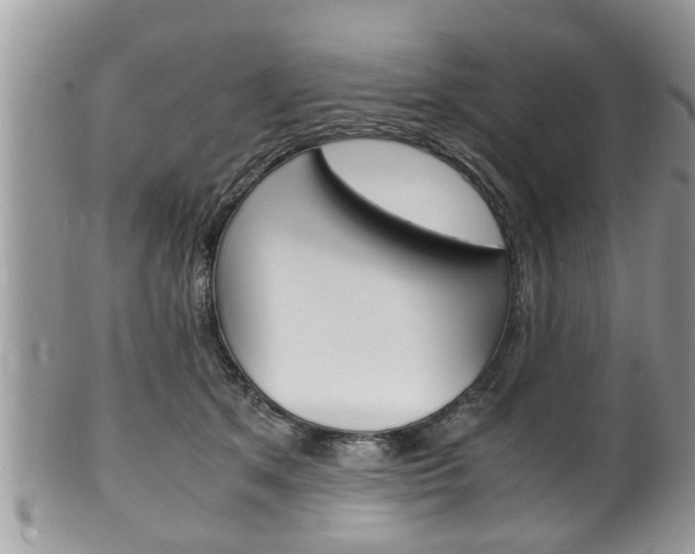 X0000100480513200806130735