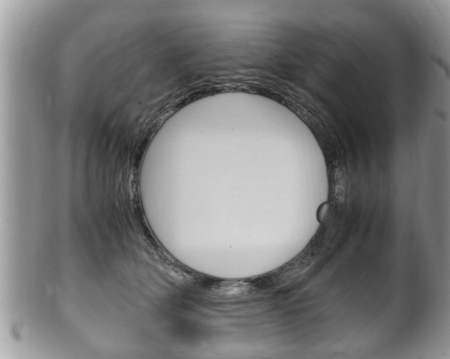 X0000100480514200806130735