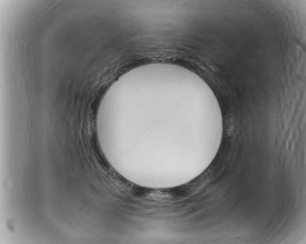X0000100480515200806130735
