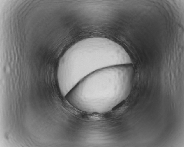 X0000100480516200806130735