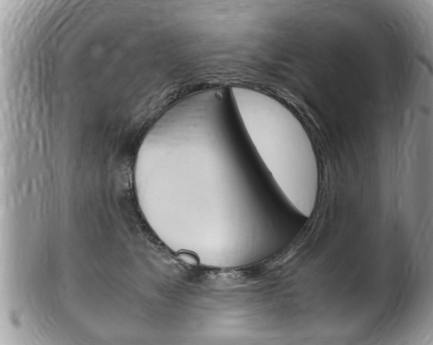X0000100480517200806130735