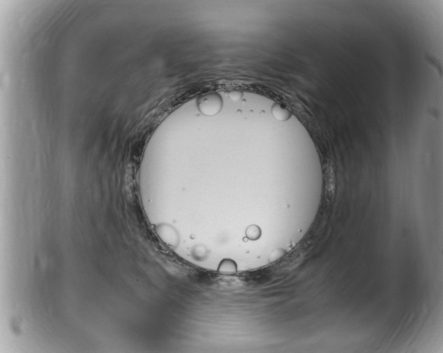 X0000100480519200806130735