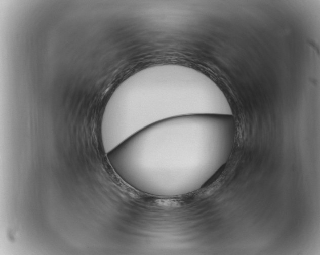 X0000100480520200806130735