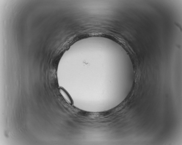 X0000100480521200806130735