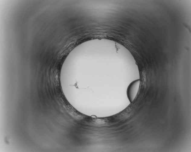 X0000100480522200806130735