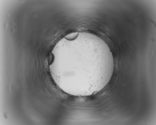 X0000100480523200806130735